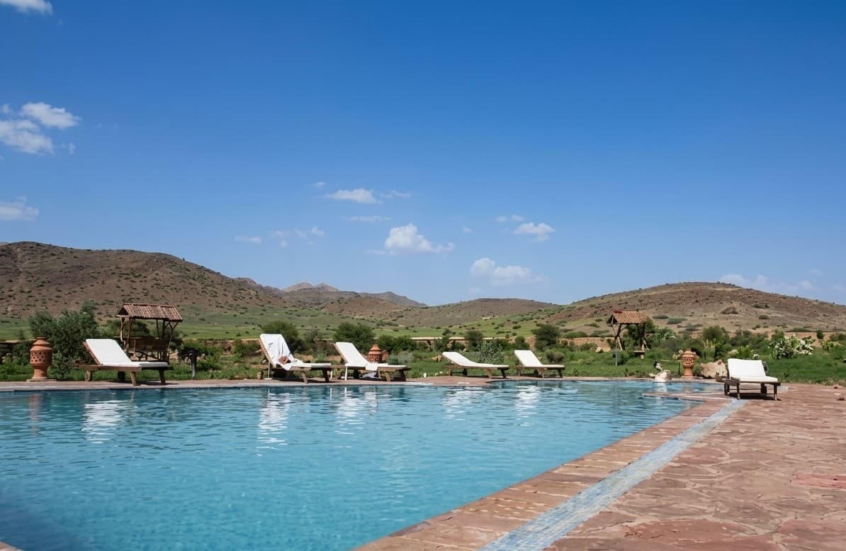 A crystal-clear swimming pool surrounded by palm trees and luxury sun loungers